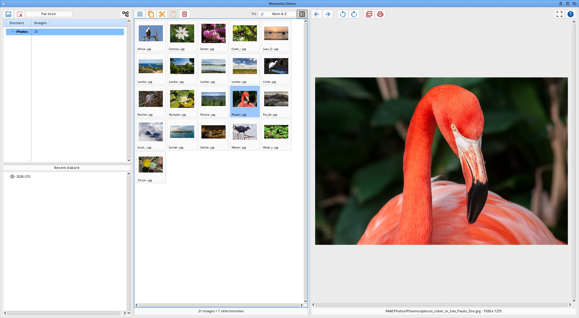 Papio-Design - Momento, your photos